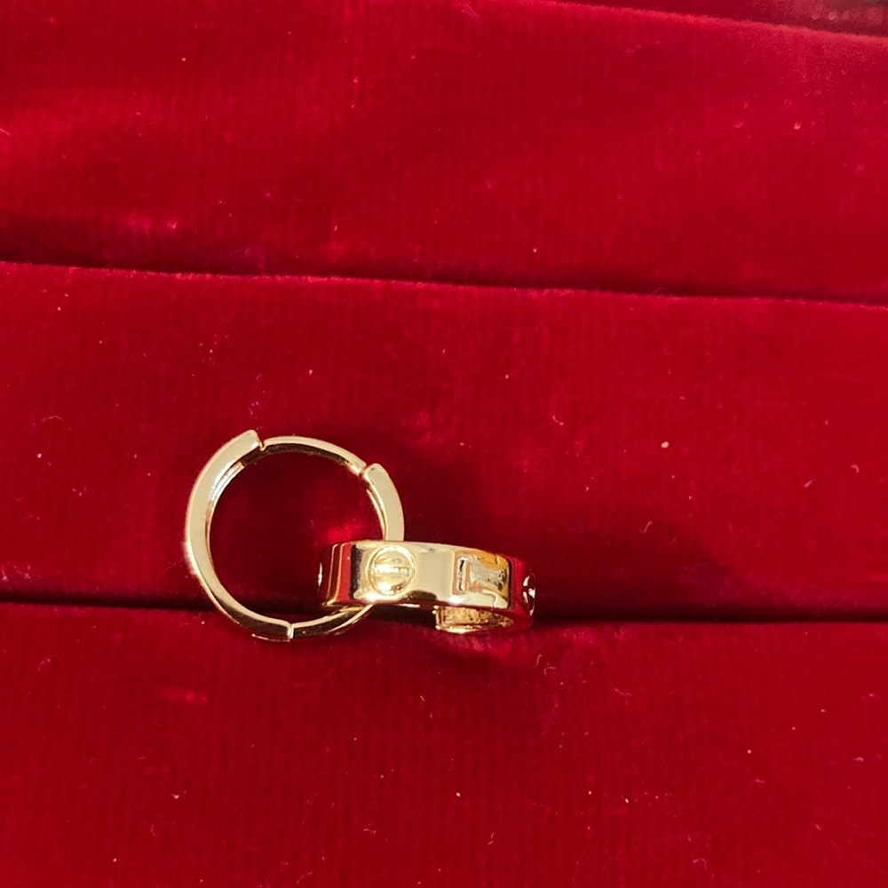 Steel hoops earrings